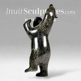 13" Dancing Bear by Ashevak Adla *Bench Press*