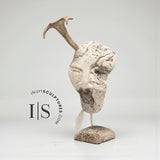 18" Shaman by Billy Merkosak *The Sage*