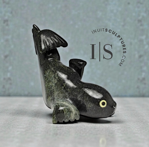 7" Seal by Toonoo Sharky