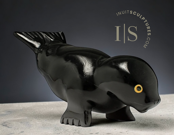 11" Seal by Toonoo Sharky *Hands Down*