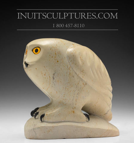 10" SIGNATURE Owl by Elite Carver Manasie Akpaliapik *Sunny*