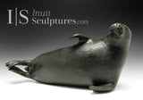 15" Relaxing Seal by Paul Malliki *Slippery As.* CURATOR'S CHOICE