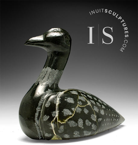 11" Loon by Dale Ford **Sailing The Seven Seas*