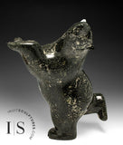 17" SIGNATURE Dancing Bear by Ashevak  *Who Me?!* CURATOR'S CHOICE