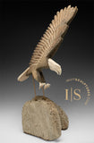 18" Majestic Eagle by Harrison Miklahook Jr. "Strike"