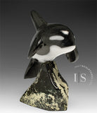 7” SIGNATURE Orca by Johnnysa Mathewsie *Poised*