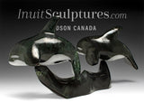 13” SIGNATURE Orcas by Johnnysa Mathewsie
