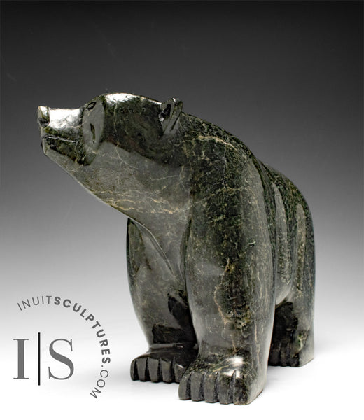 12" SIGNATURE Walking Bear by Moe Pootoogook