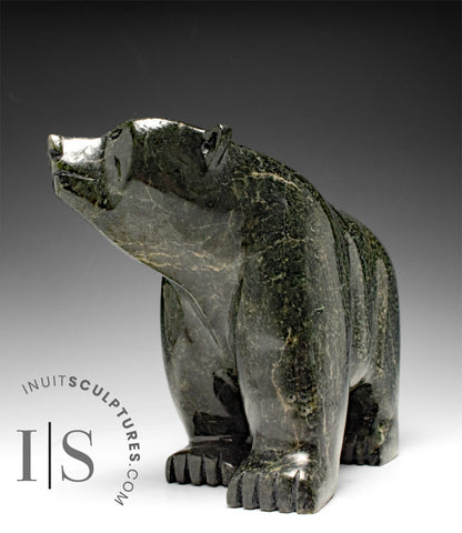 12" SIGNATURE Walking Bear by Moe Pootoogook