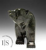 12" SIGNATURE Walking Bear by Moe Pootoogook