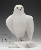 8" Snowy Owl (Uppik)  Derrald Taylor *Black Tie Affair*