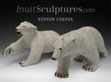 12" Polar Bear by Paul Malliki *Swipe Left*