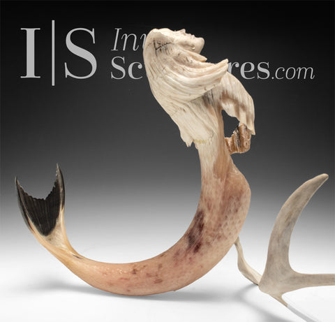 20" Narwhal Sedna by Paul Malliki
