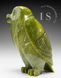 THE VERY LAST ONE 8" SIGNATURE Owl by the Late Pits Qimirpik (1968-2024) *Shining Light*