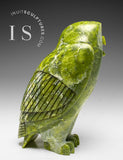 THE VERY LAST ONE 8" SIGNATURE Owl by the Late Pits Qimirpik (1968-2024) *Irish Eyes*