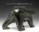 8.5" SIGNATURE Walking Bear by Tim Pee *Strutting His Stuff*