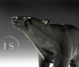 RESERVED** 8.5" Walking Bear by Tim Pee *A Study in Calm*