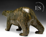 13" SIGNATURE Walking Bear by Tim Pee *Callisto*