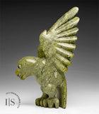 RESERVED** 8" Hawk by Toonoo Sharky