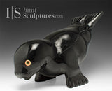 11" Seal by Toonoo Sharky *Hands Down*