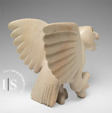 10" SIGNATURE Ookpik from Toonoo Sharky's hands in Cape Dorset *Chester*