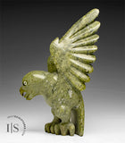 RESERVED** 8" Hawk by Toonoo Sharky
