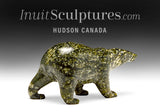 5" SIGNATURE Walking Bear by Tim Pee *Heather*