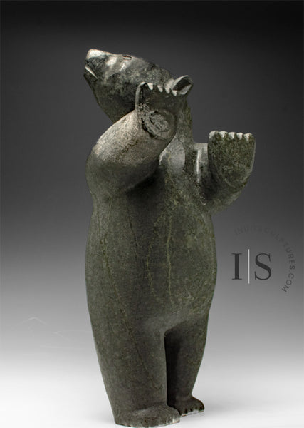 22" Standing Bear by Willie Kolola *What's That?*