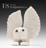 6" SIGNATURE Owl  by Palaya Qiatsuq *Snowflake*