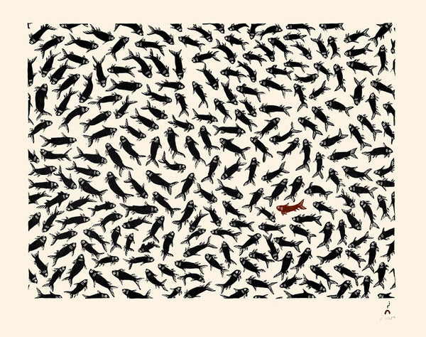 2015 SCHOOL OF FISH by Cee Pootoogook