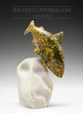 Poisson d'omble chevalier de 7 po par Maître Derrald Taylor
