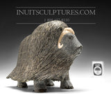 8" Bronze / Grey Iconic Masterpiece Muskox by Lucassie Ikkidluaq