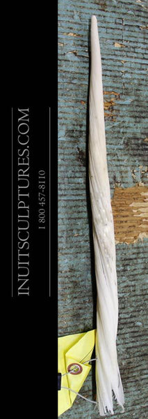 18.5" Narwhal Tusk