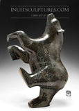 20" Acrobatic Classic Masterpiece Nuna Parr Dancing Bear