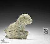 8.5" Seal by Ottokie Aningmiuq